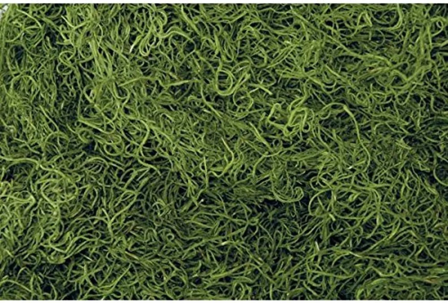 1 lb Bag Preserved & Dyed Green Spanish Moss (0905301704)