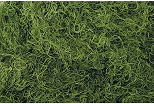 1 lb Bag Preserved & Dyed Green Spanish Moss (0905301704)