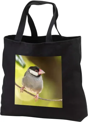 3dRose Danita Delimont - Animals - USA, Hawaii, Kona. Java sparrow close-up. - Tote Bags (tb_331240)