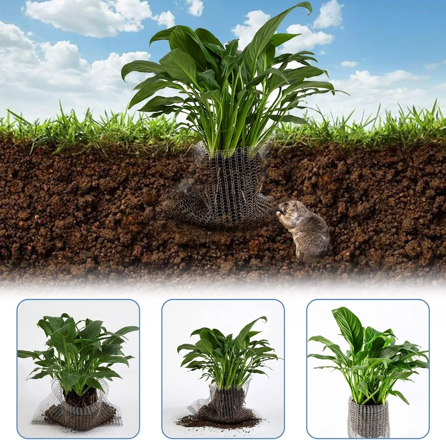 5 Pcs 5 Gallon Root Guard Gopher Proof Wire Basket Mole and Vole Mesh Wire Baskets Underground Stainless Steel Wire for Plants Root Protection