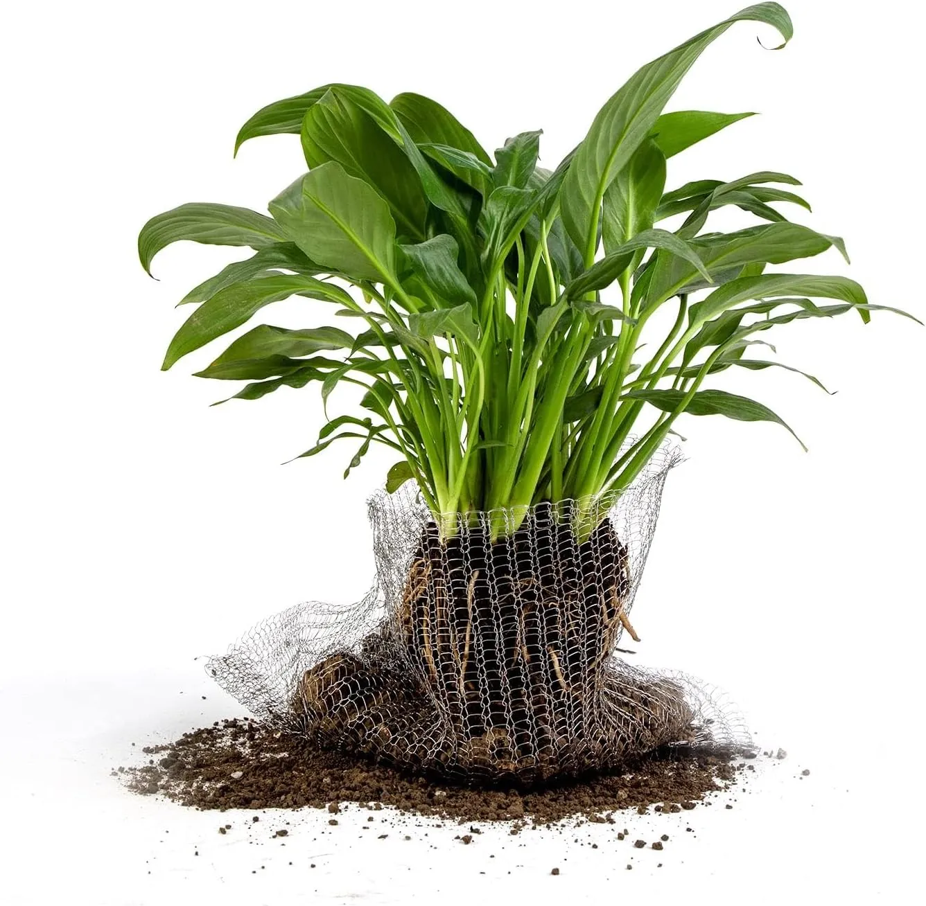 5 Pcs 5 Gallon Root Guard Gopher Proof Wire Basket Mole and Vole Mesh Wire Baskets Underground Stainless Steel Wire for Plants Root Protection
