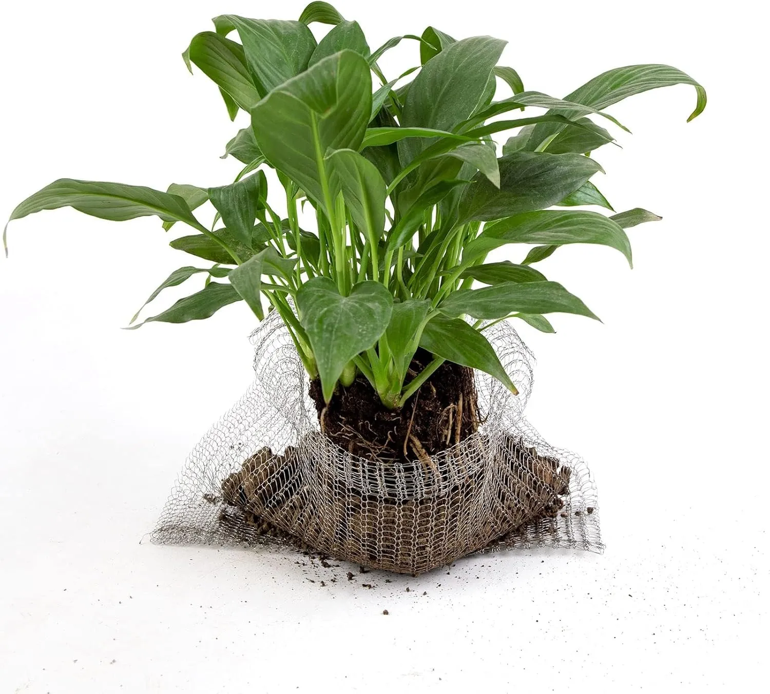 5 Pcs 5 Gallon Root Guard Gopher Proof Wire Basket Mole and Vole Mesh Wire Baskets Underground Stainless Steel Wire for Plants Root Protection