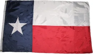 AES 6x10 ft Embroidered Sewn Texas Nylon Flag 6'x10' Grommets (Made in USA) Fade Resistant Double Stitched Premium Penant House Banner Grommets