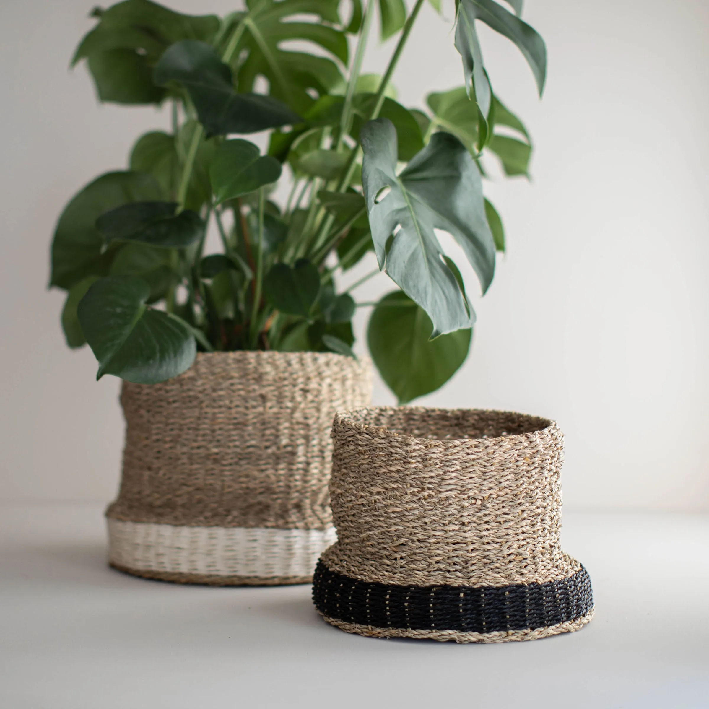 ALANI NATURAL BASKET BLACK (MIN 2)