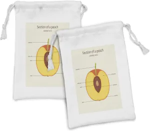 Ambesonne Fabric Pouch Set of 2, Guided Scientific ification Learning of Peach Parts Graphic Demonstration, Small Drawstring Bag for Toiletries Masks and Favors, 9" x 6", Multicolor
