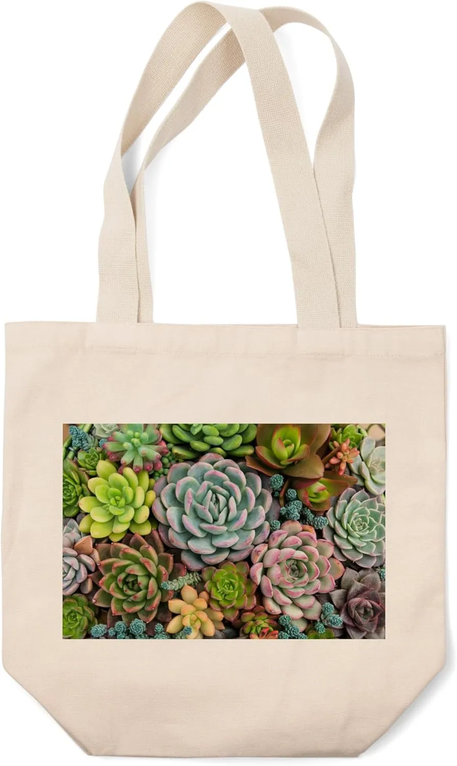 Arrangement of Many Colorful Succulents in a Planter Viewed from Above (100% Cotton Canvas Reusable Tote Bag)