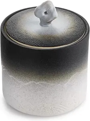 Caddy Antique Style Porcelain Tea Tin Matte Kiln Glazed Surface Ceramic Tea Storage Containers with Airtight Lid Food Storage Container for Tea Coffee Herb Spices Sugar and More Storage