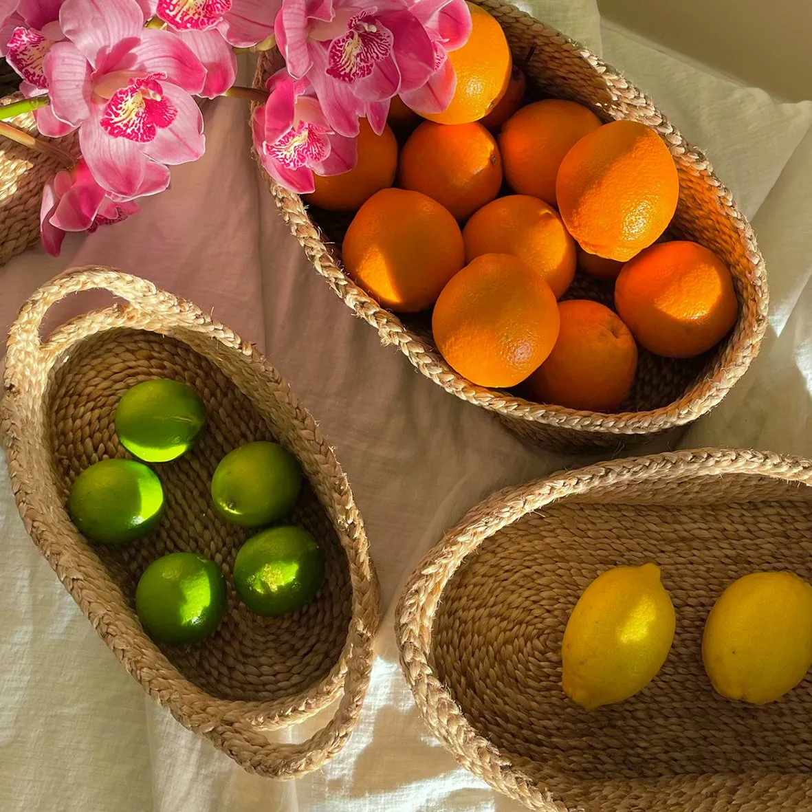 Camp Cove Handle Basket XS