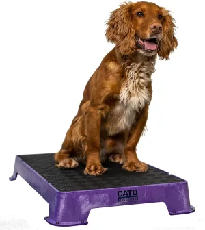 Cato Board - Dog Training Platform (Purple, Rubber Surface)