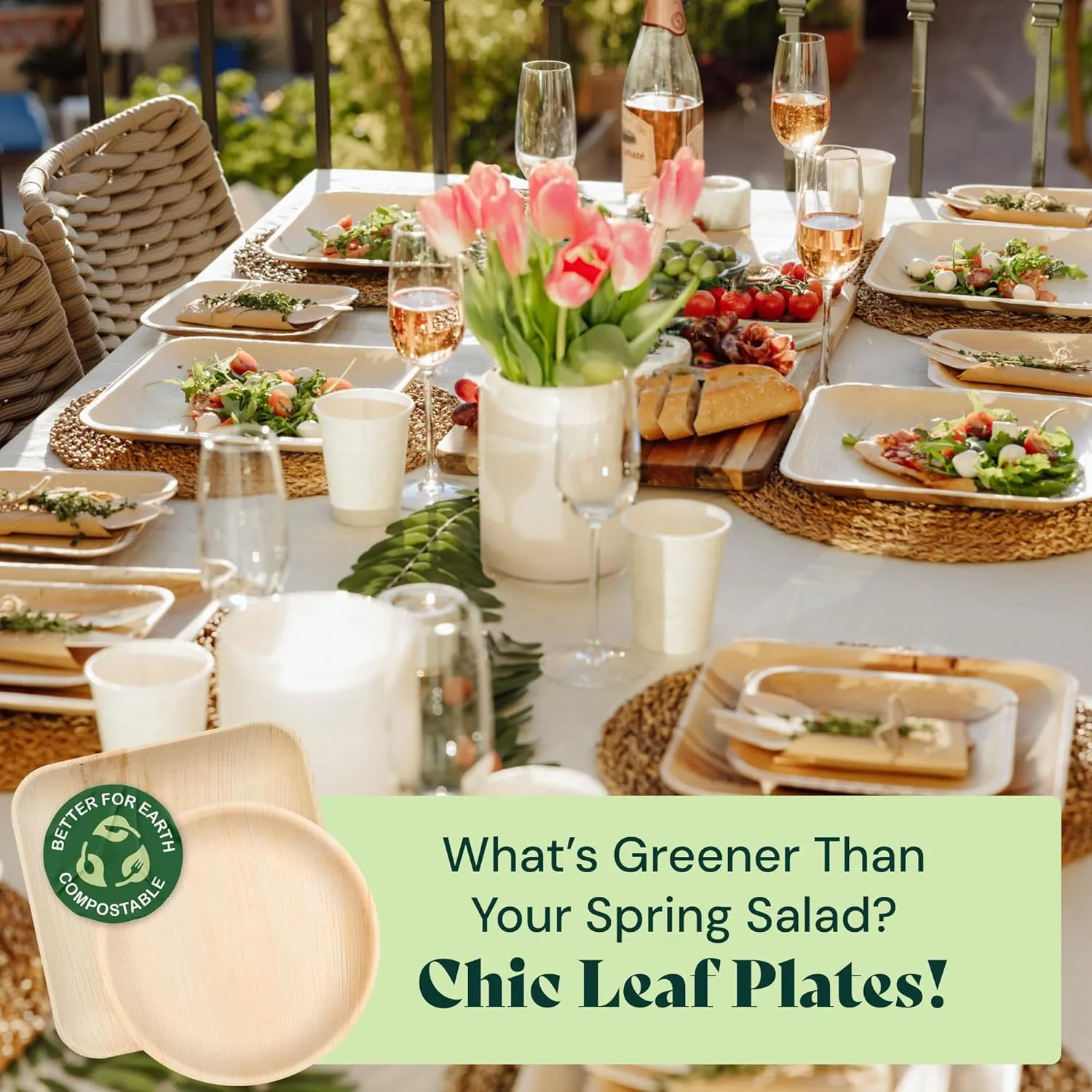 Chic Leaf Palm Leaf Disposable Bamboo Plates - Round Party Plates for Parties & Event Appetizers - Biodegradable & Compostable - Party Supplies (10''   7'', 48 Pack)