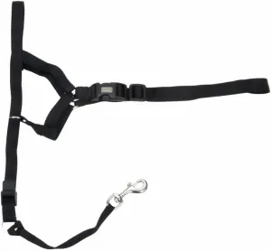 Coastal Pet Walk 'n Train Dog Head Halter - Head Colllar Dog Leader - No-Pull Pet Harness - Quick-Drying Polyester - Black - XLarge