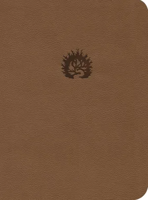 ESV Reformation Study Bible, Light Brown, Leather-Like Imitation Leather – March 16, 2015