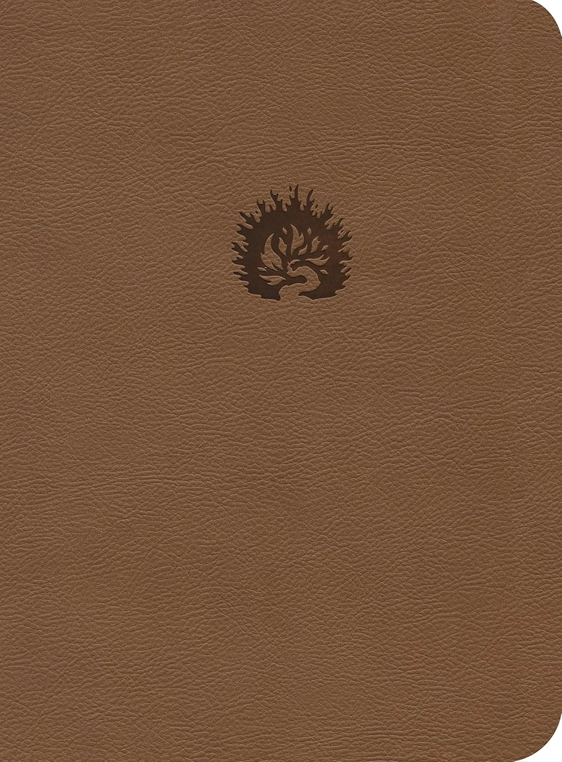 ESV Reformation Study Bible, Light Brown, Leather-Like Imitation Leather – March 16, 2015