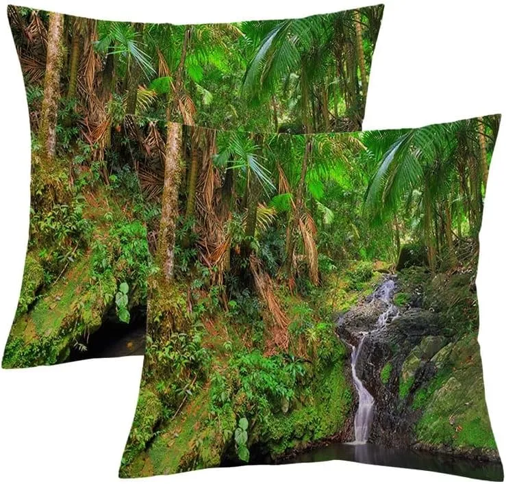 Fall Pillow Covers 18x18 Set of 2 La Small Cascade Water El Yunque Travel Puerto Forest Scene Nature Parks Outdoor Design Rico Walk Pillow Case Velvet Decorative Pillows Square Cushion Covers