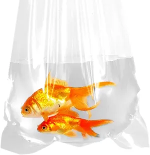 Fishery Bags 12 Inches Leak Proof Rounded Bottom Corners Clear Plastic Fish Bags for Marine and Tropical Fish Transport. (12" x 18" / 50 Pack / 4 Mil)