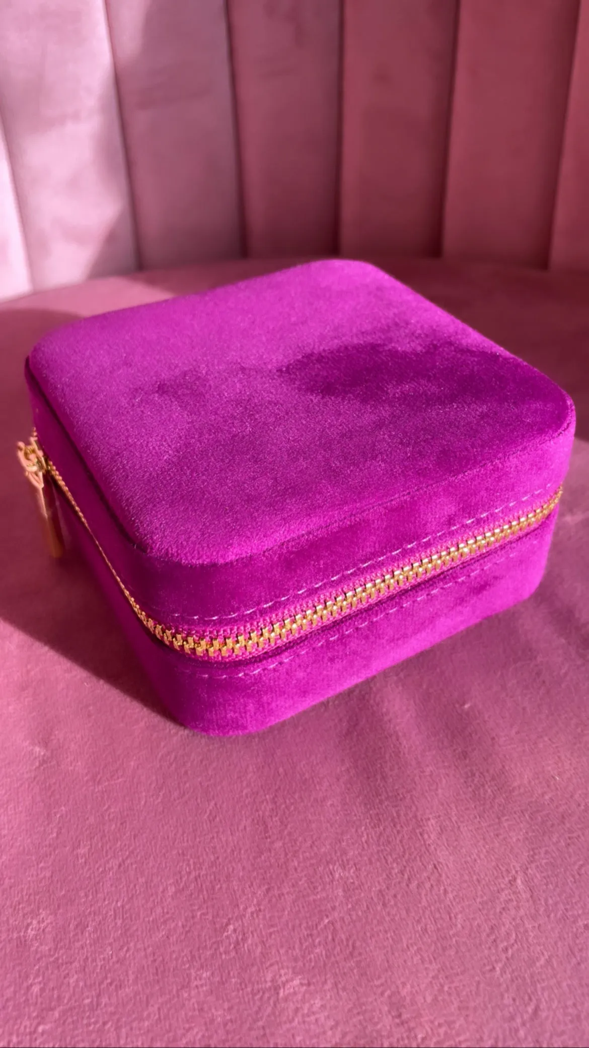 Grape Travel Case