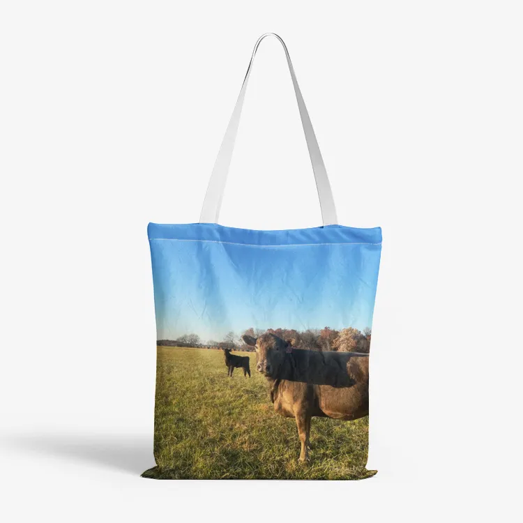 Heavy Duty and Strong Natural Canvas Tote Bags