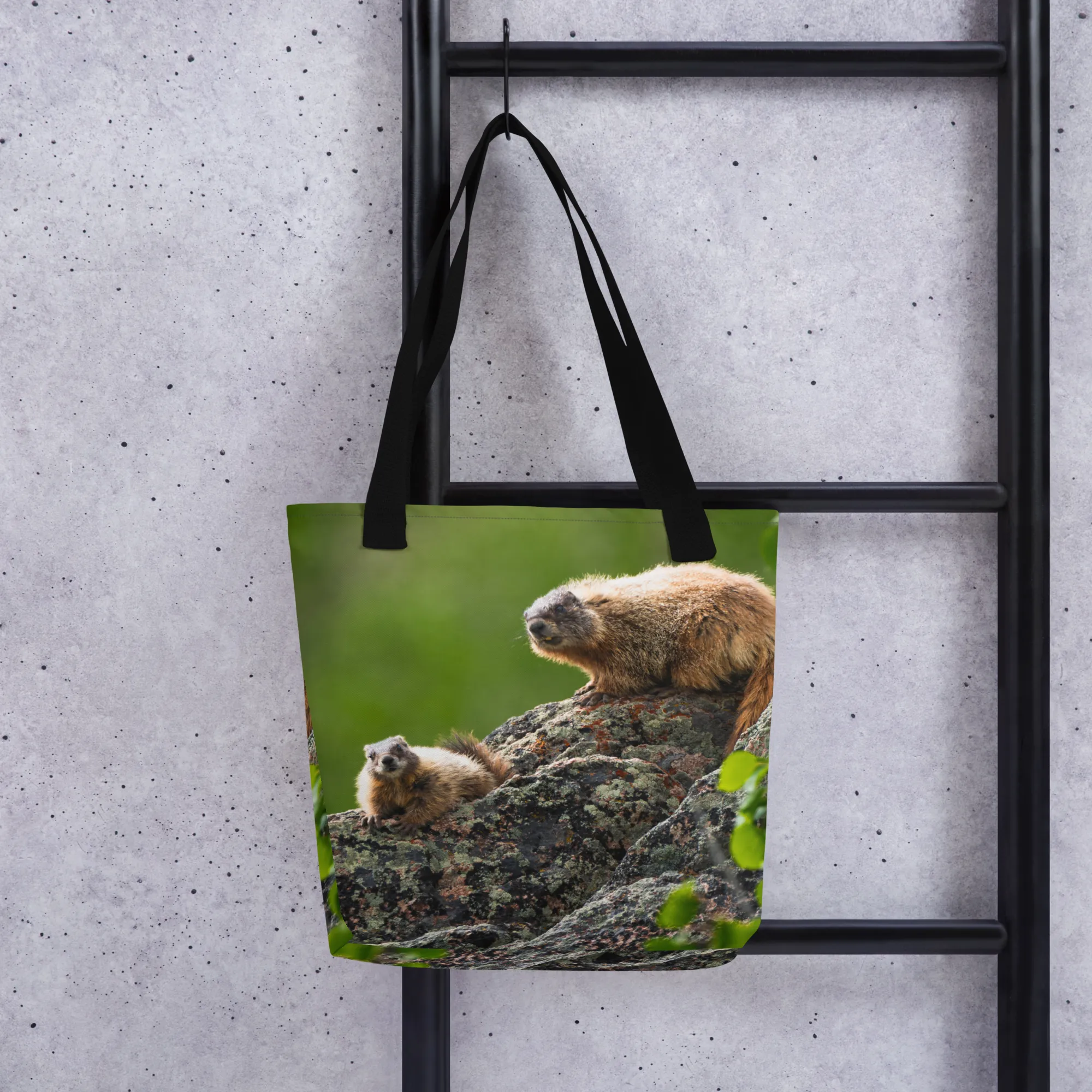 Marmot Tote bag