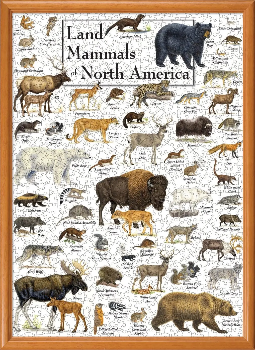 MasterPieces 1000 Piece Jigsaw Puzzle for Adults, Family, Or Youth - Land Mammals of North America - 19.25"x26.75"