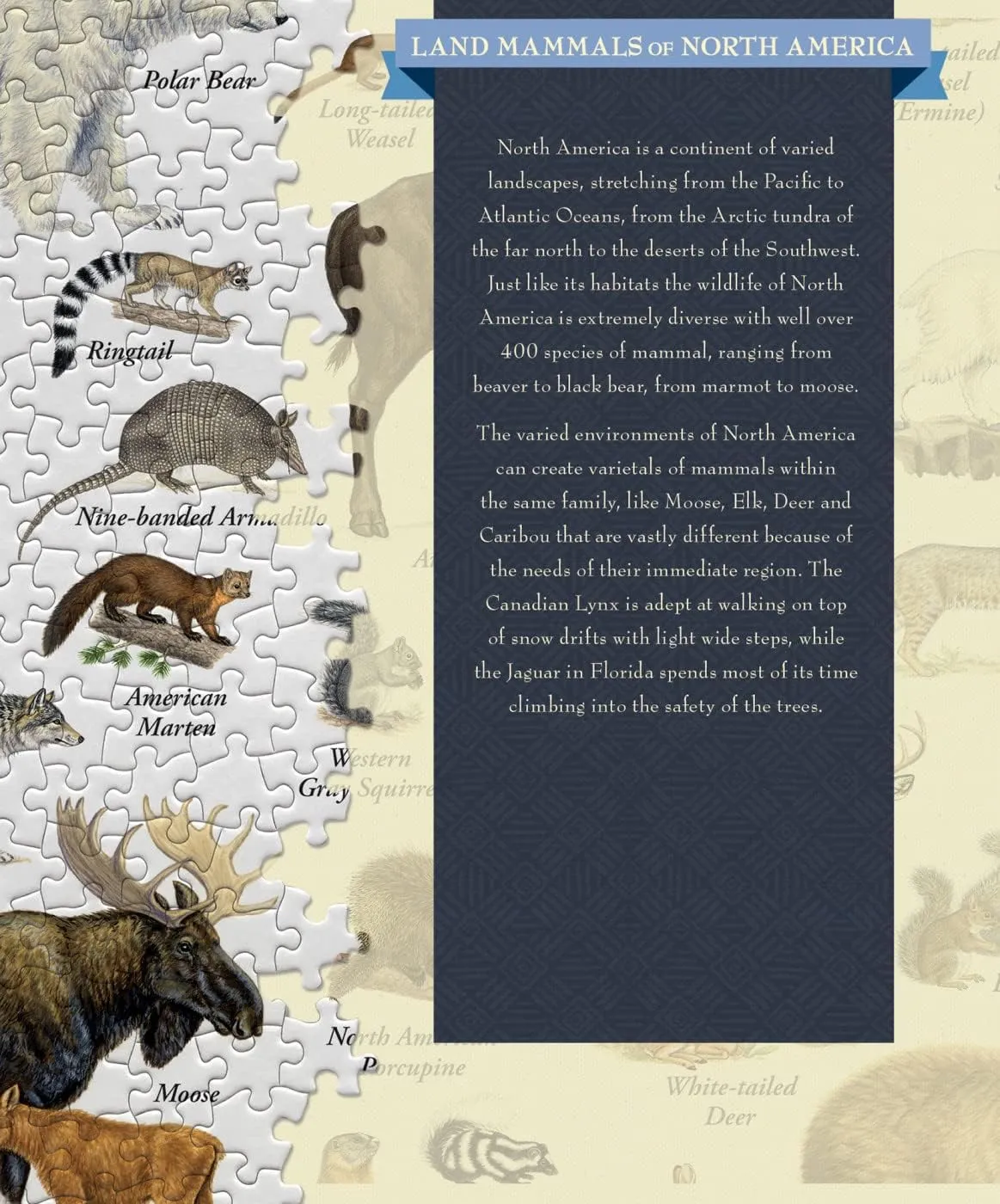 MasterPieces 1000 Piece Jigsaw Puzzle for Adults, Family, Or Youth - Land Mammals of North America - 19.25"x26.75"