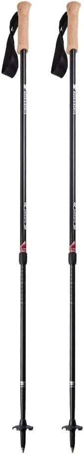 Mountainsmith Andesite Trekking Pole Pair - Carbon
