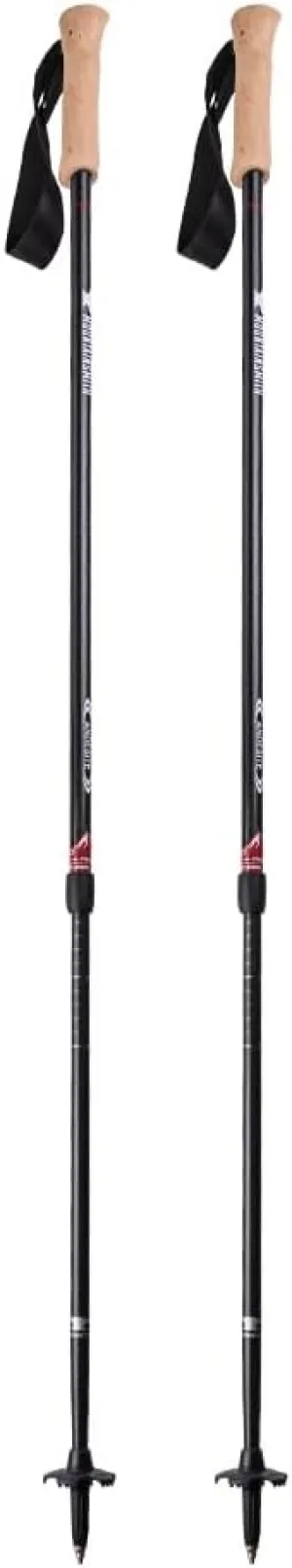 Mountainsmith Andesite Trekking Pole Pair - Carbon
