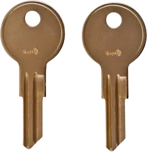 Pair of 2 -Replacement Keys for T01 T02 T04 Husky Tool Box (Husky only) Home Depot. Keys pre Cut to Code by keys22 (T01 Husky)