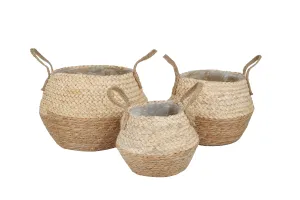 Rebuck Bulb Baskets Set Of 3