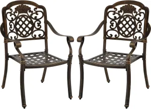 Set of 2 Cast Aluminum Patio Dining Chairs, Outdoor Bistro Stackable Chairs with Armrest, Patio Chair with Adjustable Feet, for Balcony, Backyard, Garden (Bronze, Without Cushion)