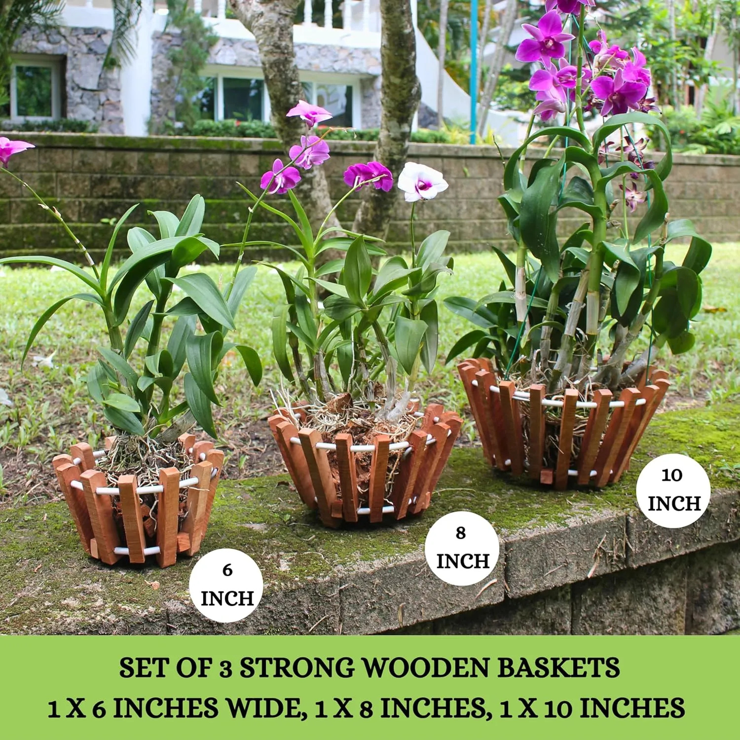 Set of 3 Rustic Specialist Orchid Growing Baskets for Outdoors with Hangers, Vanda Baskets
