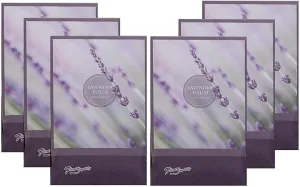 Simplicity Scents Lavender Scented Sachets Pack of 6, Everyday - Long-Lasting Scented Bags, Home Fragrance, Air Freshener & Deodorizer for Closet, Room, Drawer, or Cars, Made in USA