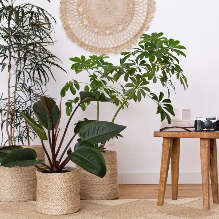 Tall Round Jute Storage Baskets Natural