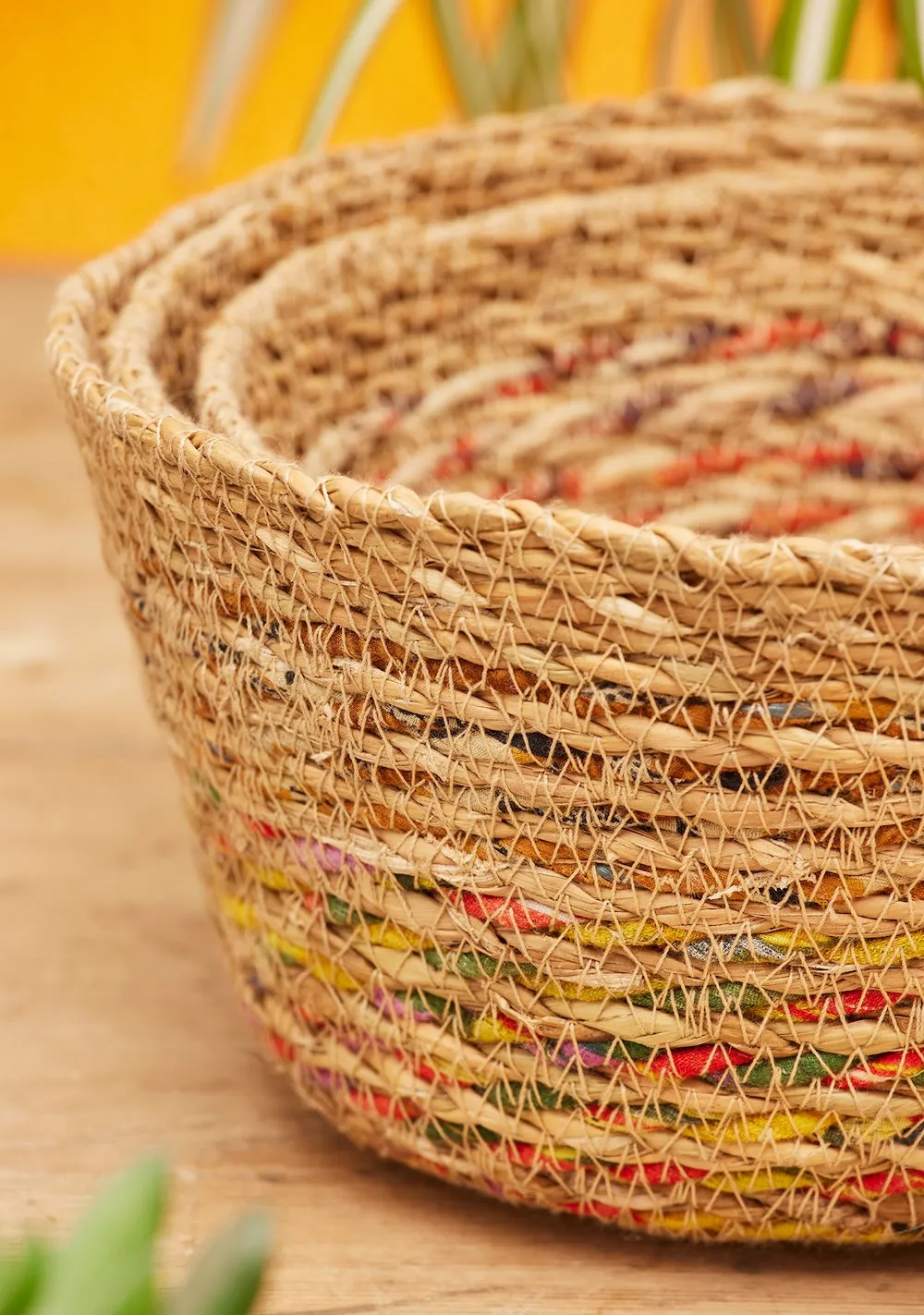 Three Rustic Handwoven Paphri Baskets with Recycled Sari Accents