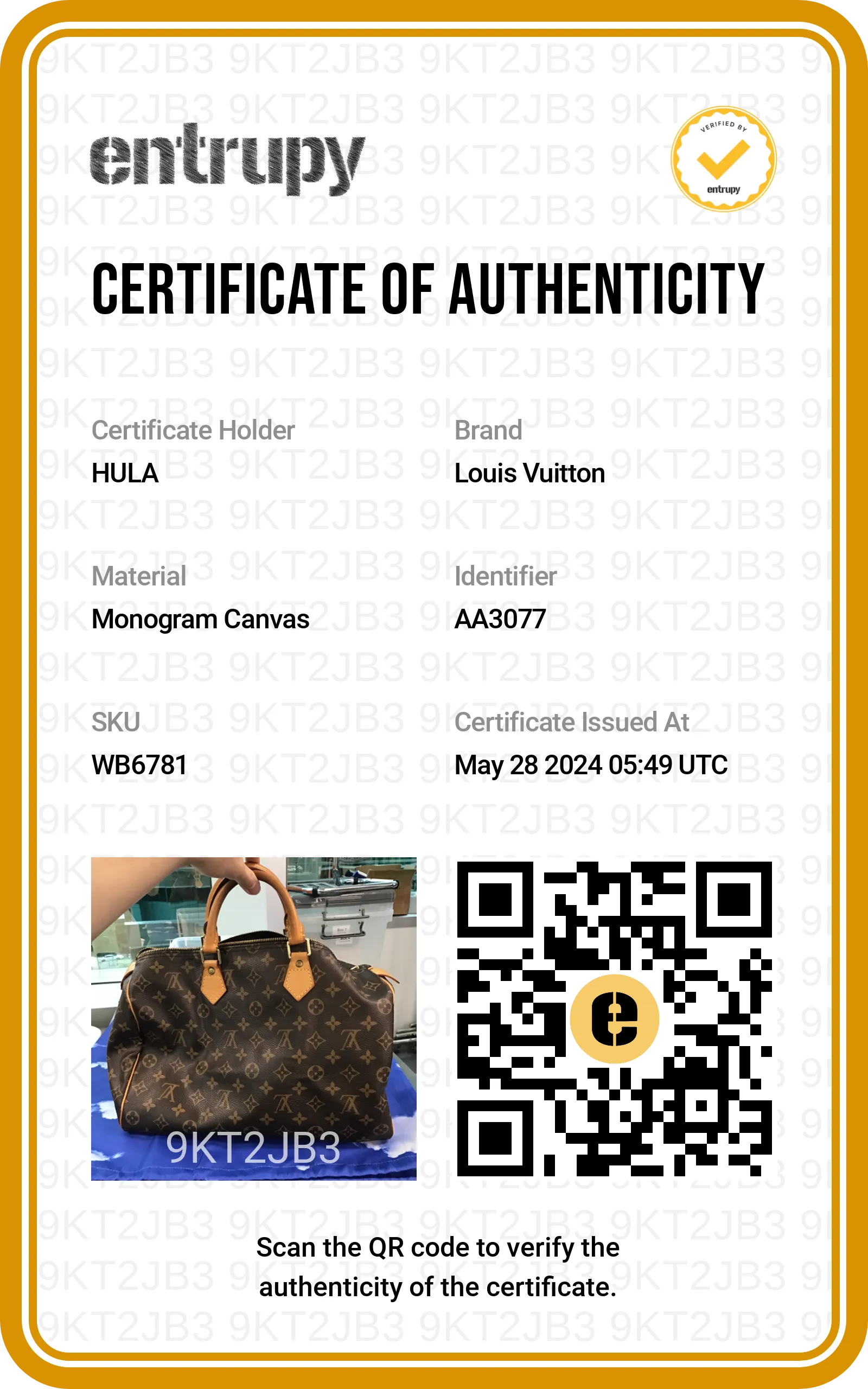 [WB6781] Louis Vuitton | luggage