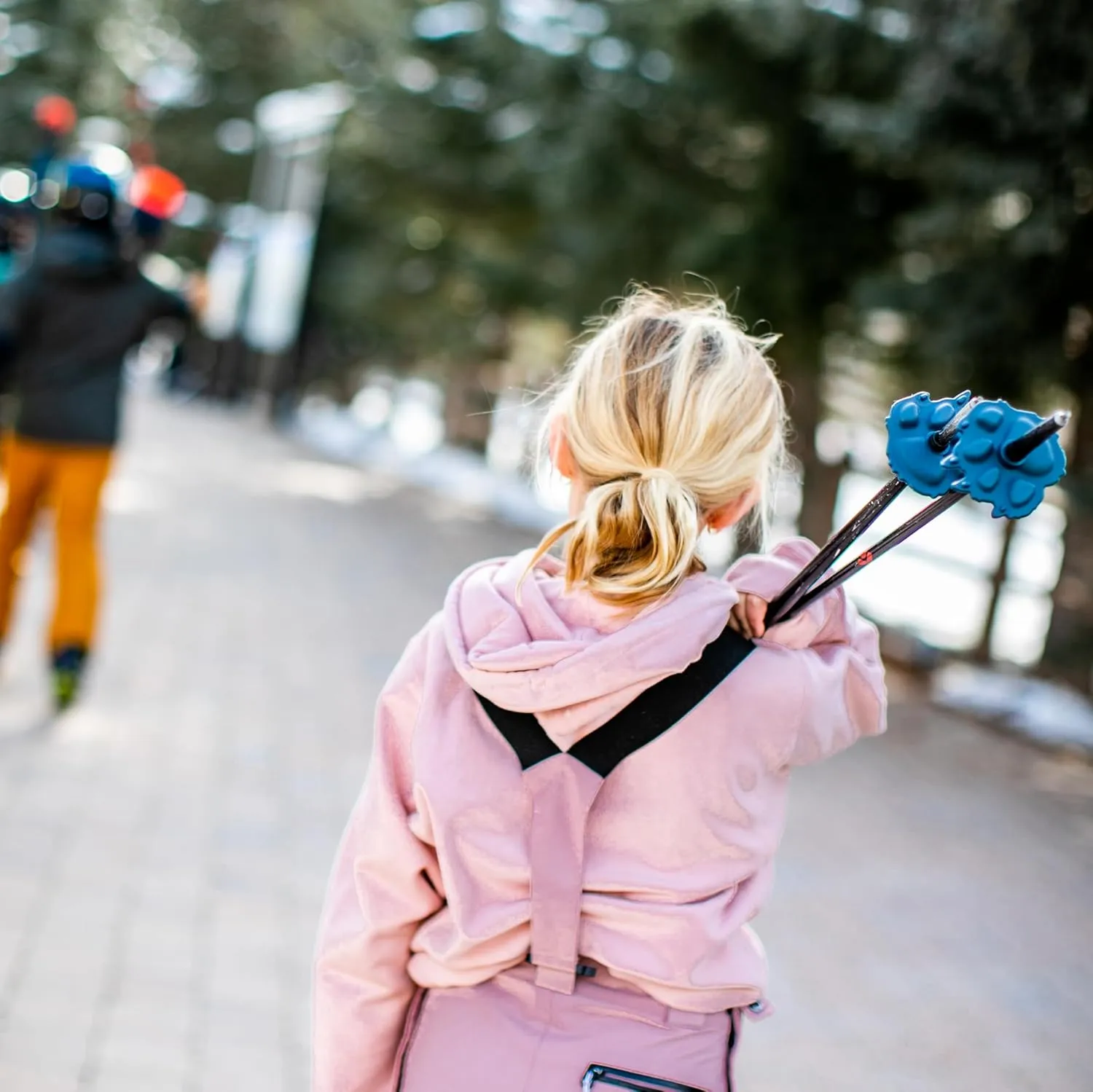 Wolf | Mountain Lion Ski Pole Baskets