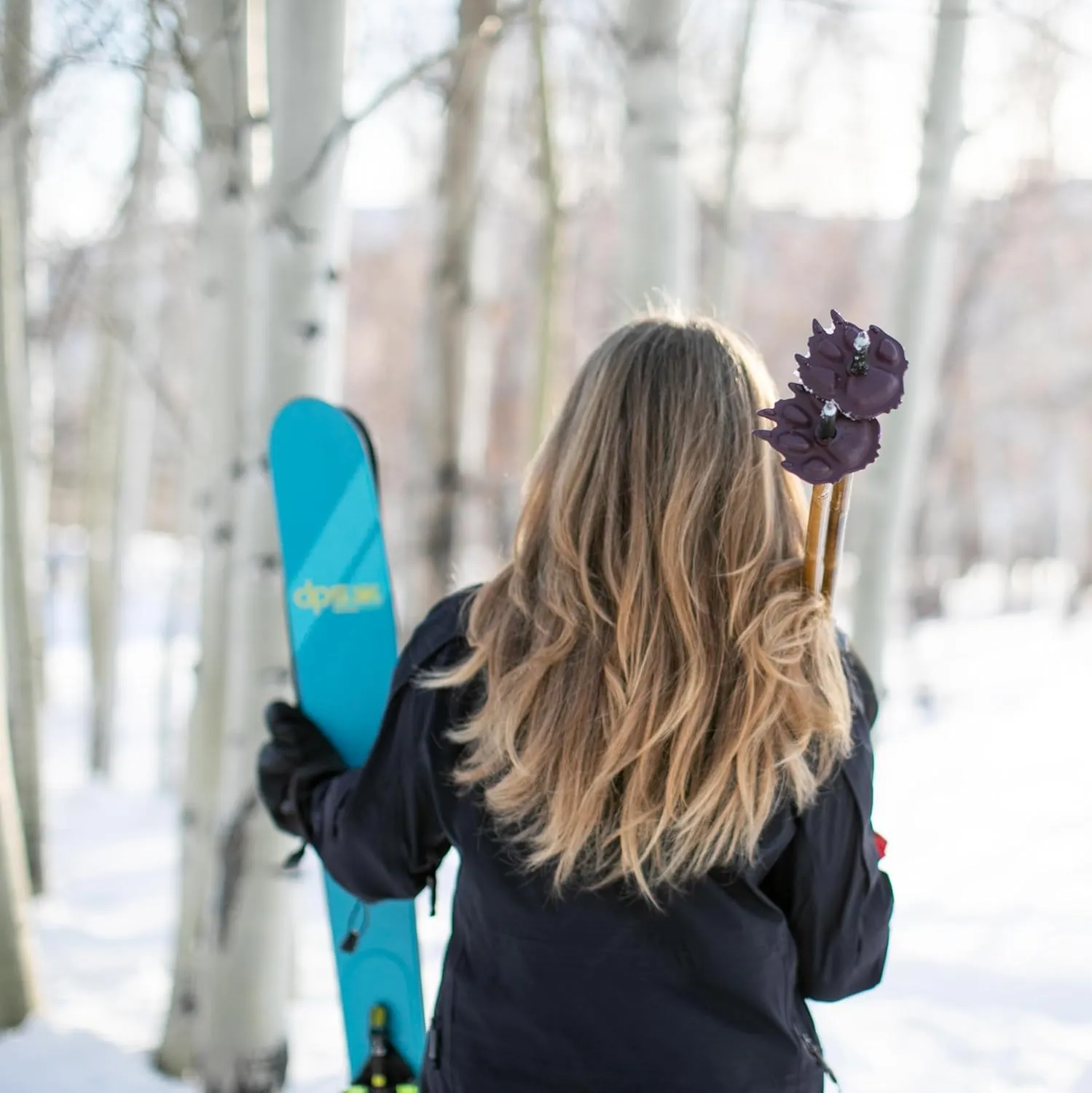 Wolf | Mountain Lion Ski Pole Baskets