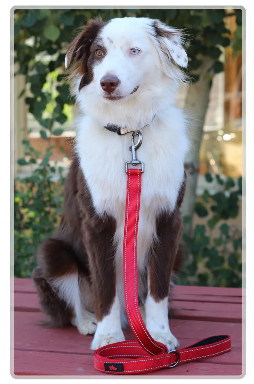 Z-CoiL® Dog Leash