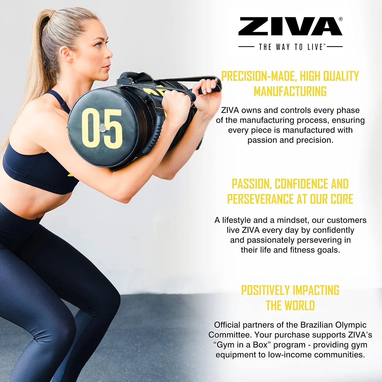 ZIVA Power Sandbag – Pre-Weighted Training Bag with Multiple Handles for Full-Body Strength & Conditioning – Heavy-Duty, No-Fill Needed (10–50 lb)